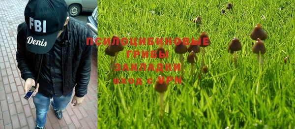 скорость Снежногорск
