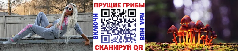 цена   Трубчевск  Галлюциногенные грибы ЛСД 